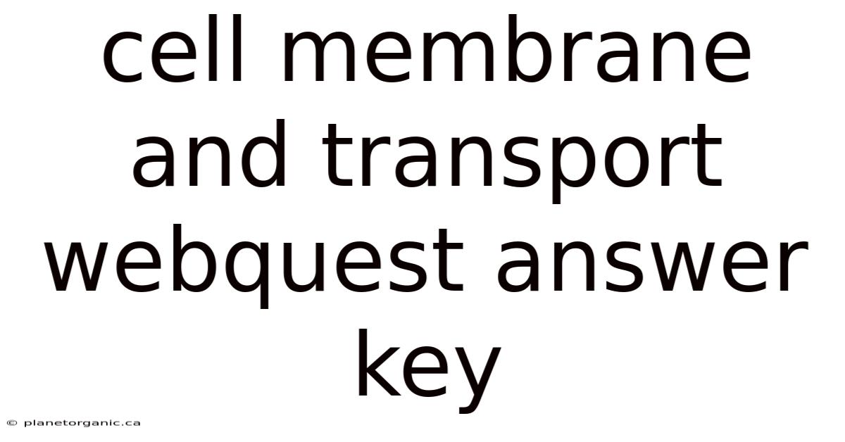 Cell Membrane And Transport Webquest Answer Key