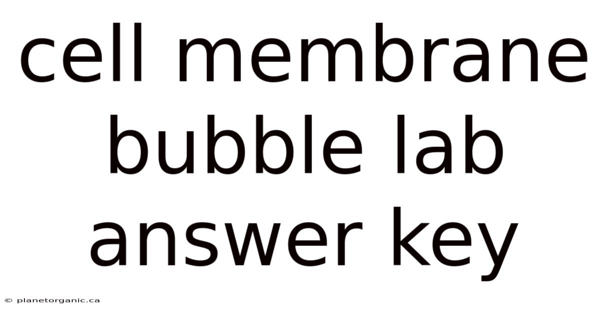 Cell Membrane Bubble Lab Answer Key