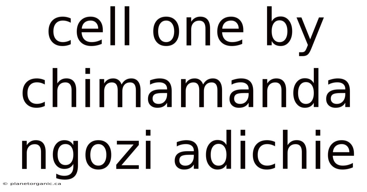 Cell One By Chimamanda Ngozi Adichie