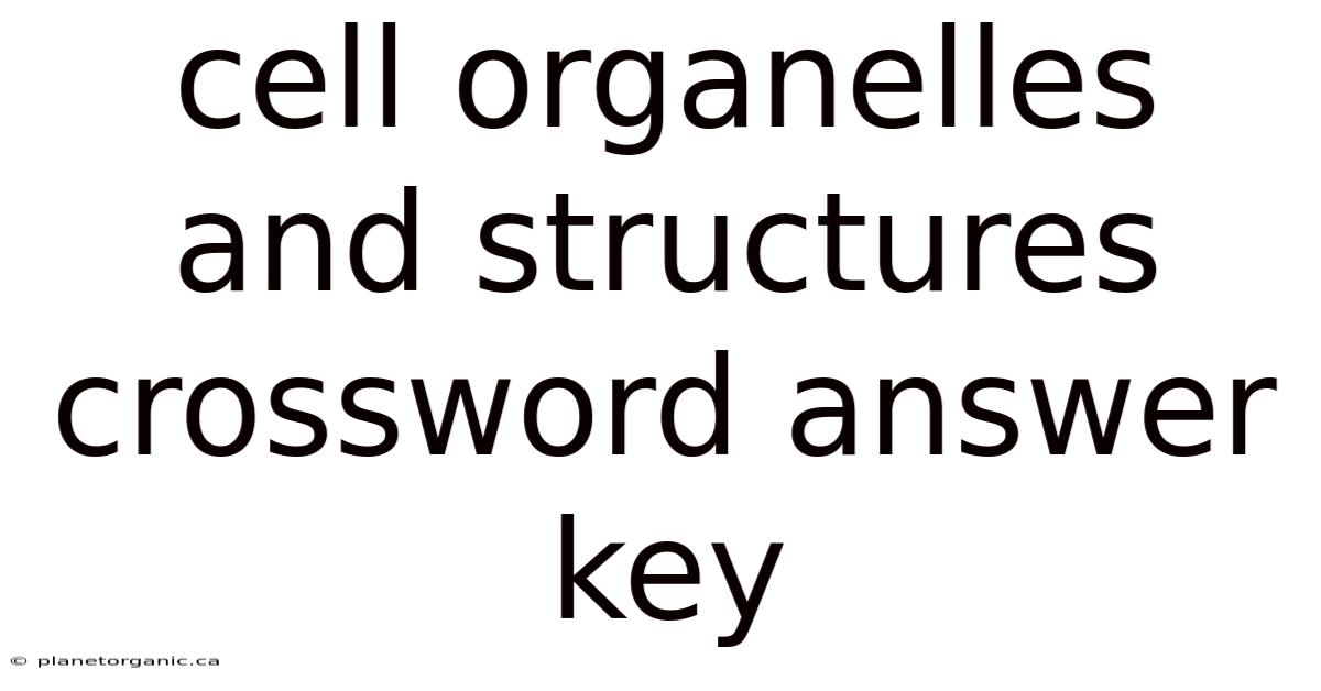 Cell Organelles And Structures Crossword Answer Key