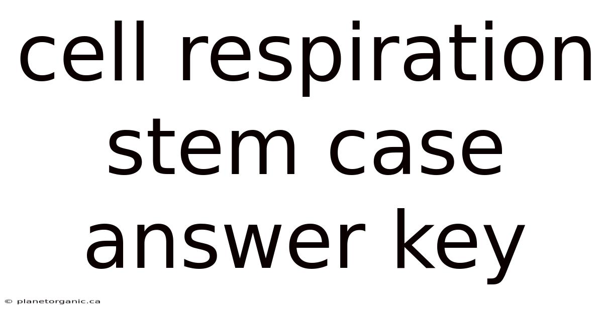 Cell Respiration Stem Case Answer Key