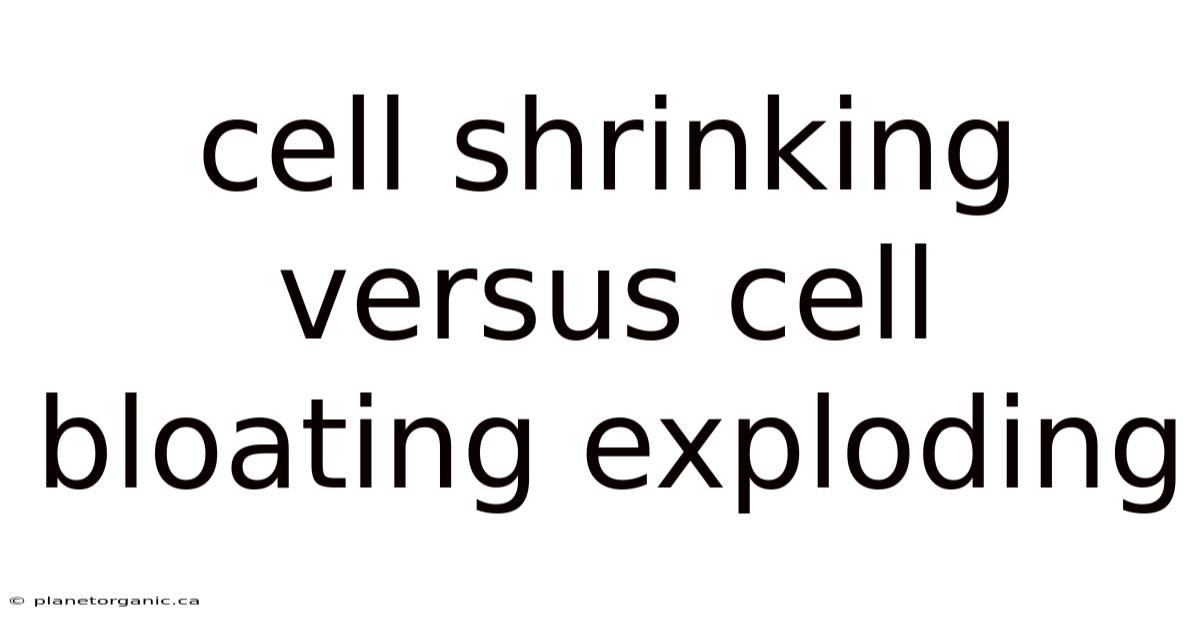 Cell Shrinking Versus Cell Bloating Exploding