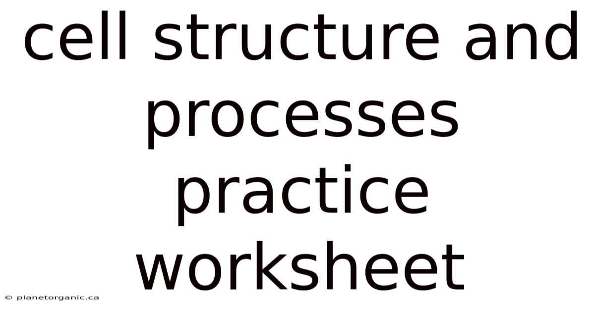 Cell Structure And Processes Practice Worksheet