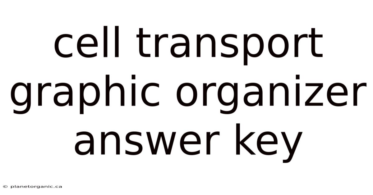 Cell Transport Graphic Organizer Answer Key