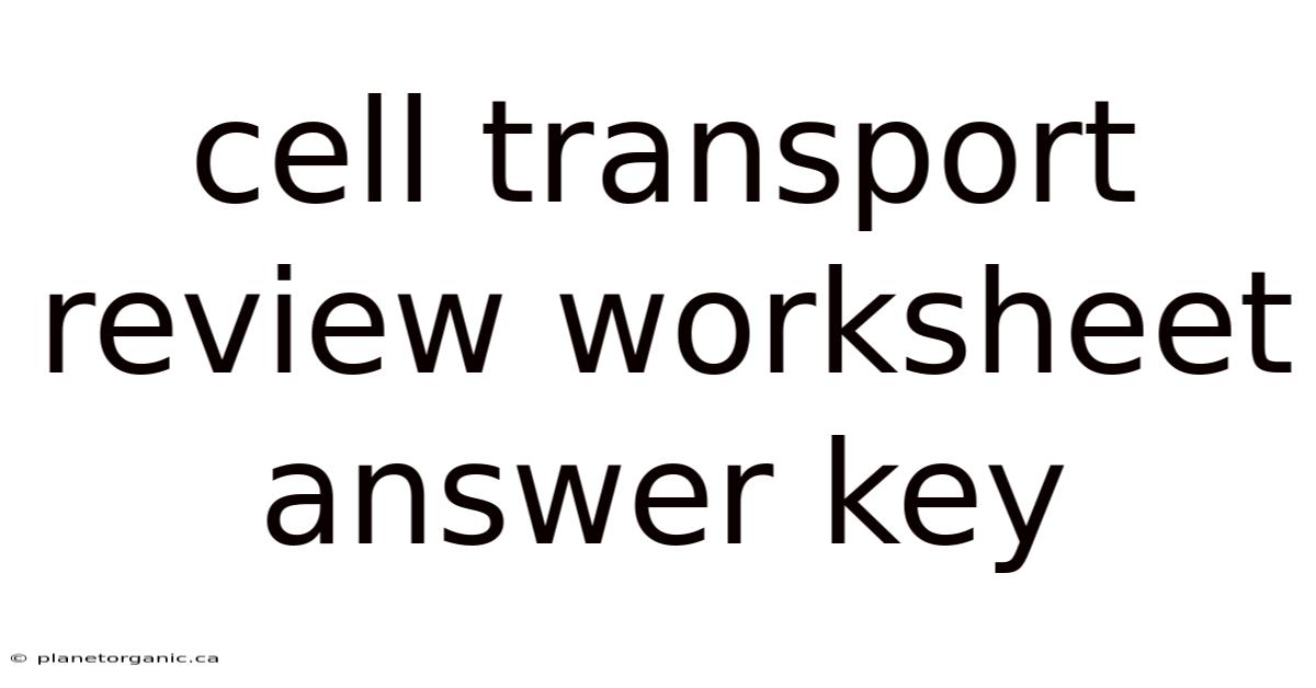 Cell Transport Review Worksheet Answer Key