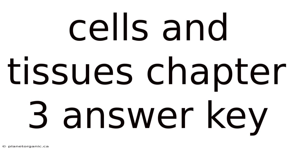 Cells And Tissues Chapter 3 Answer Key