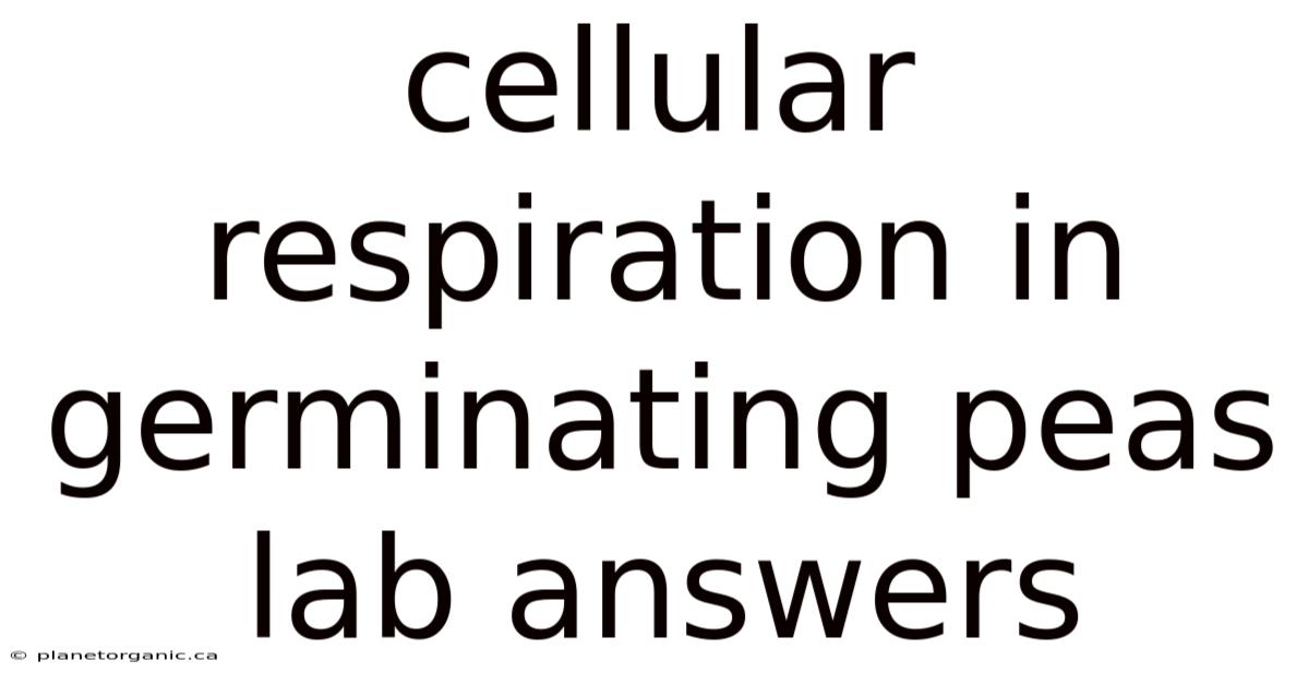 Cellular Respiration In Germinating Peas Lab Answers