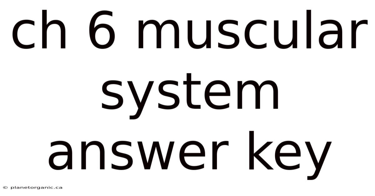 Ch 6 Muscular System Answer Key