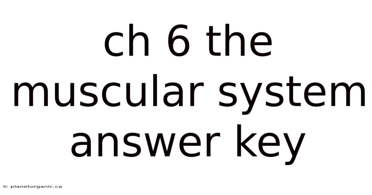 Ch 6 The Muscular System Answer Key