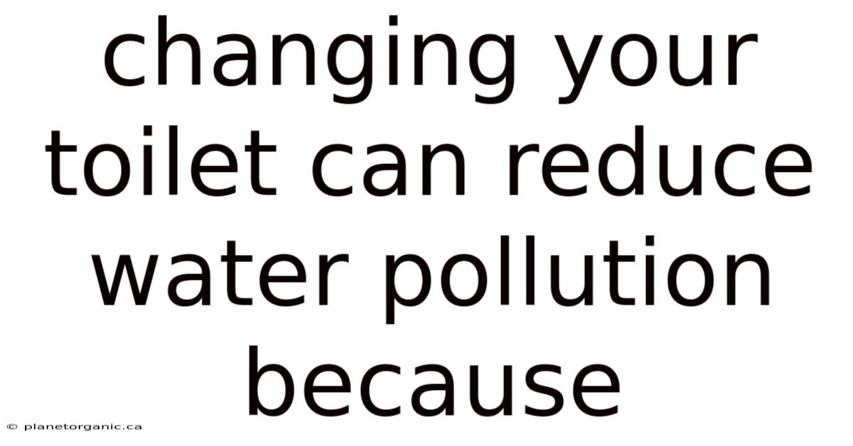 Changing Your Toilet Can Reduce Water Pollution Because
