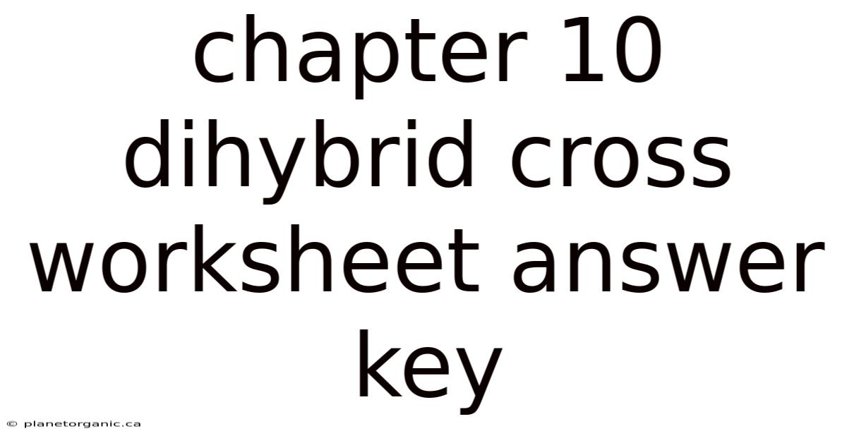 Chapter 10 Dihybrid Cross Worksheet Answer Key