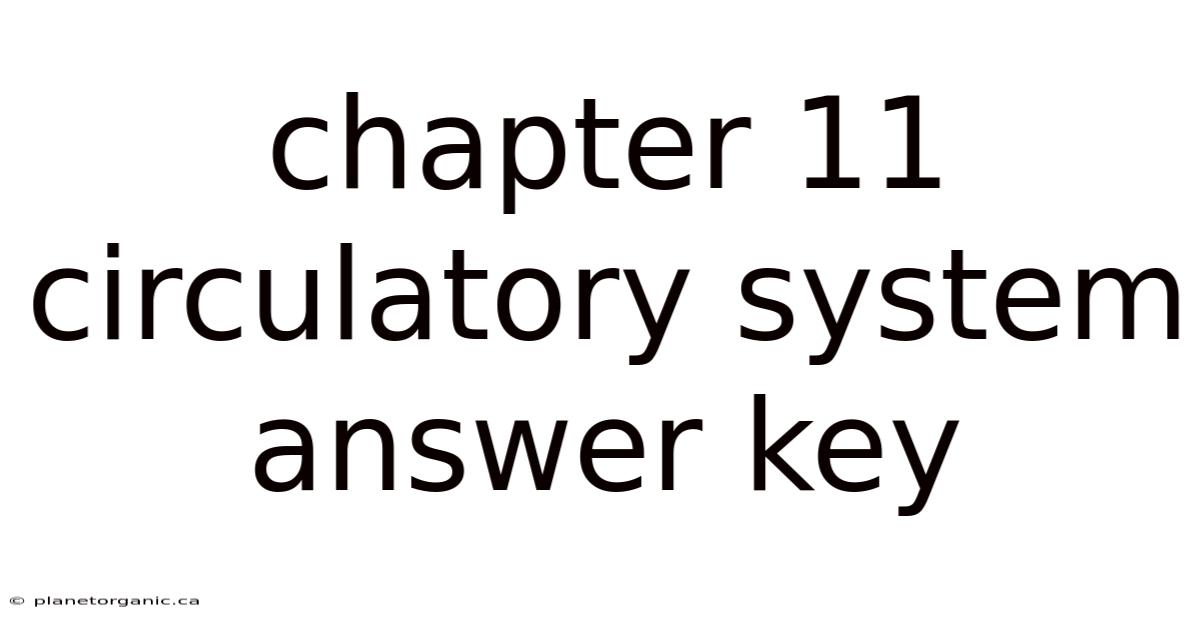 Chapter 11 Circulatory System Answer Key