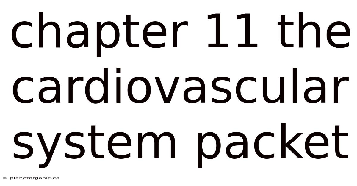 Chapter 11 The Cardiovascular System Packet