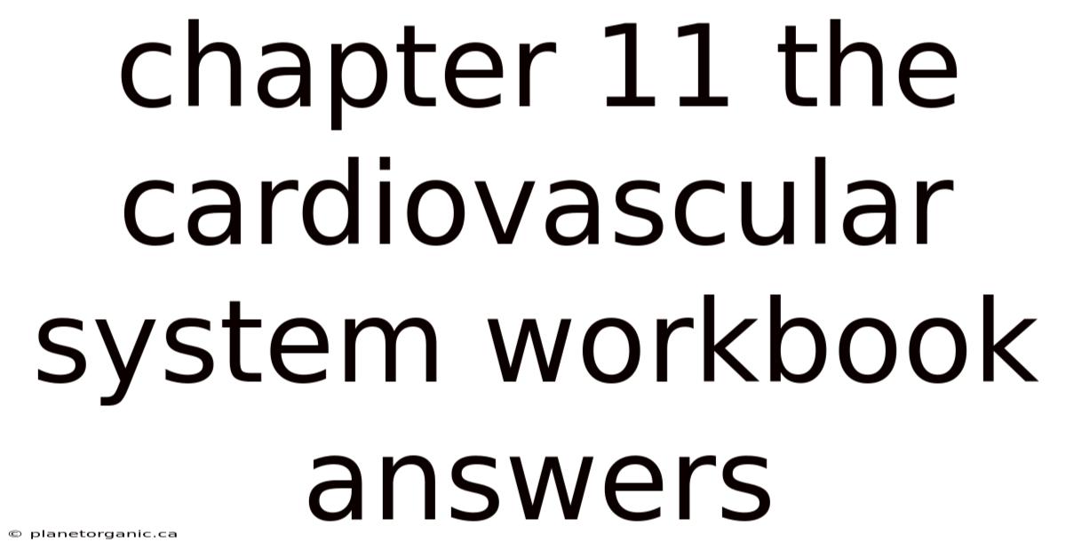 Chapter 11 The Cardiovascular System Workbook Answers