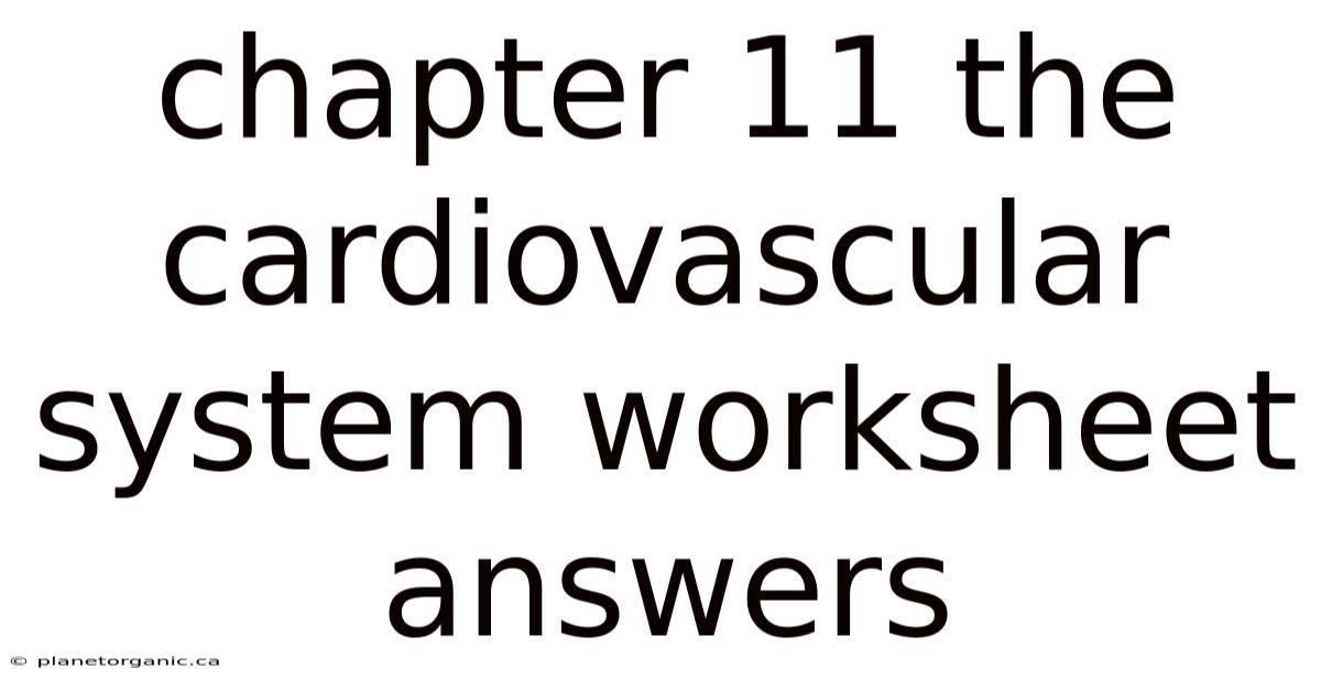Chapter 11 The Cardiovascular System Worksheet Answers