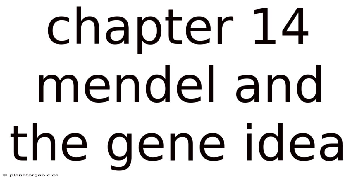Chapter 14 Mendel And The Gene Idea