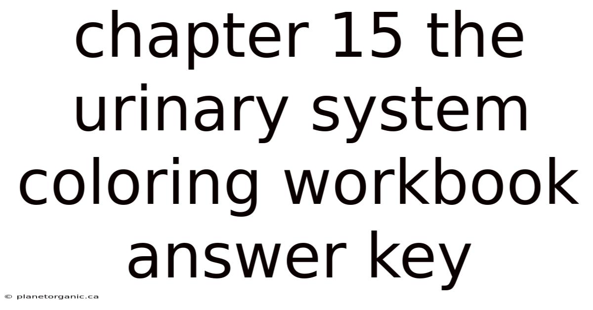 Chapter 15 The Urinary System Coloring Workbook Answer Key