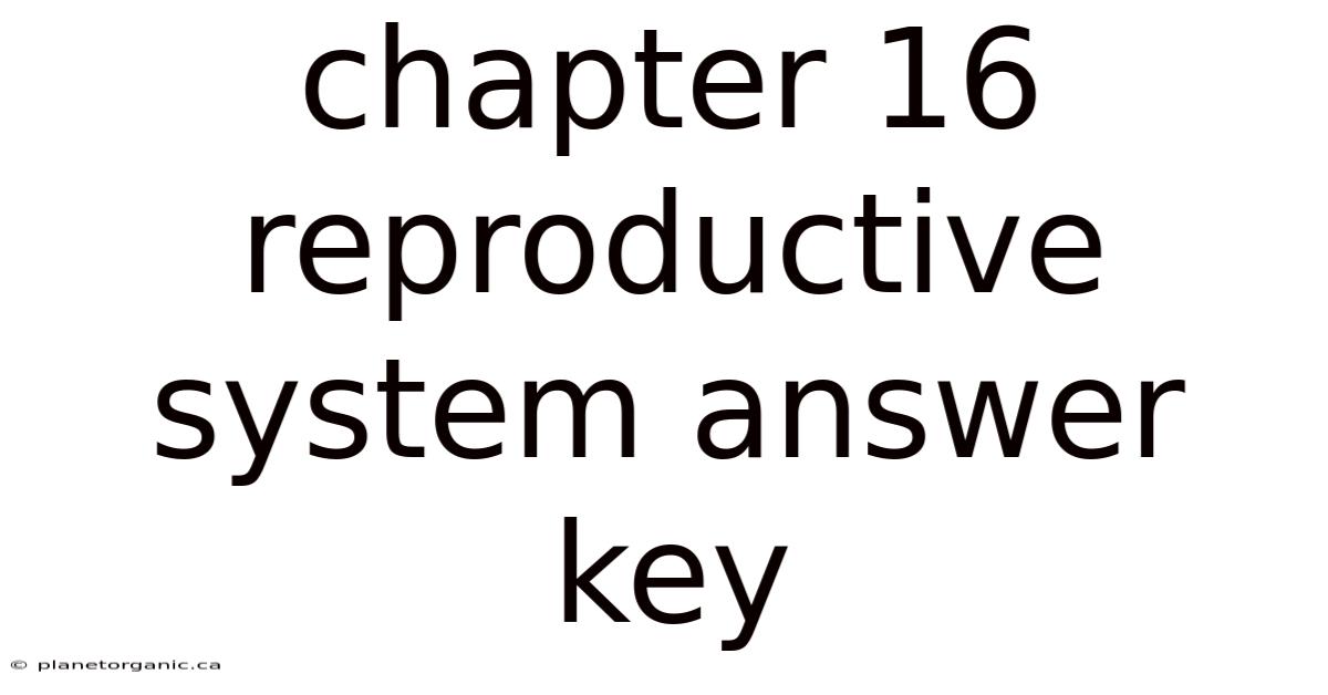 Chapter 16 Reproductive System Answer Key