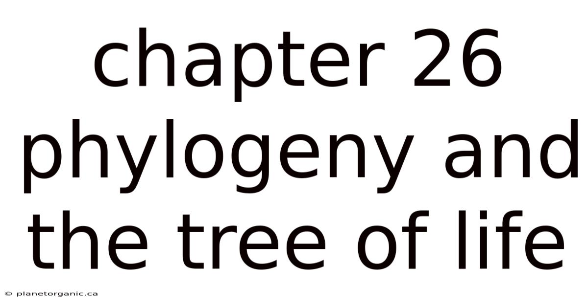 Chapter 26 Phylogeny And The Tree Of Life
