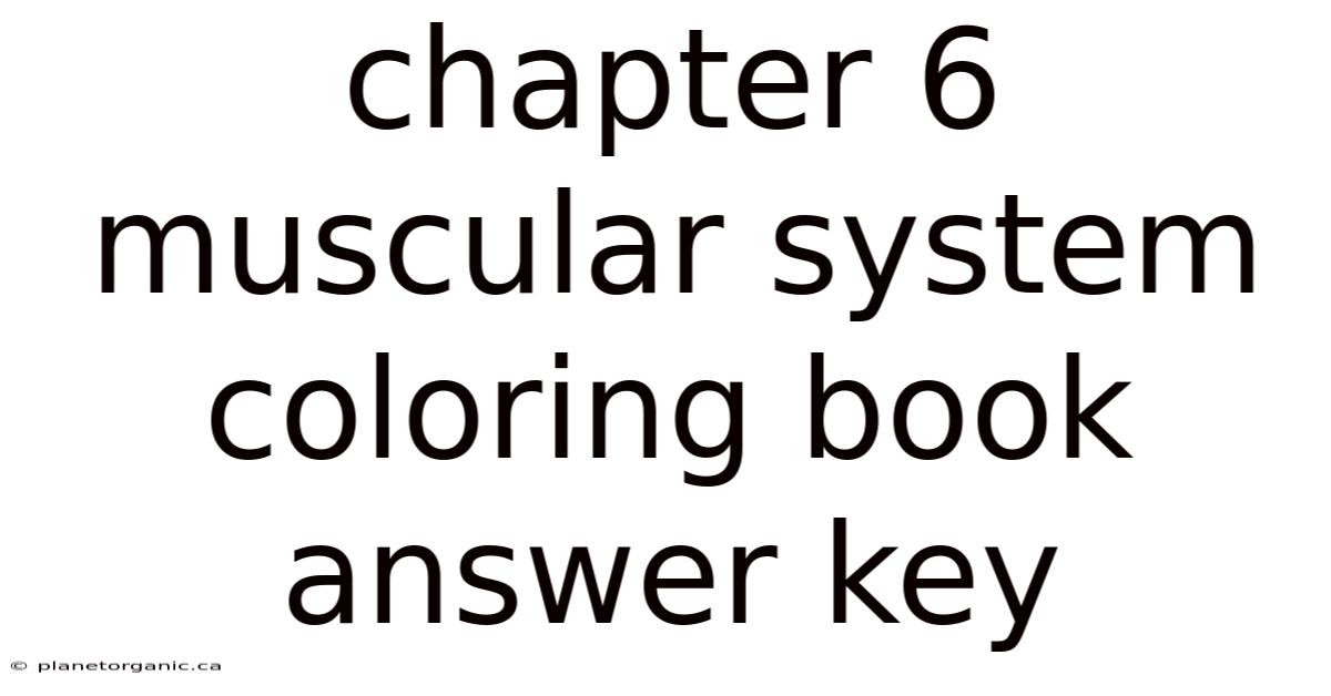 Chapter 6 Muscular System Coloring Book Answer Key