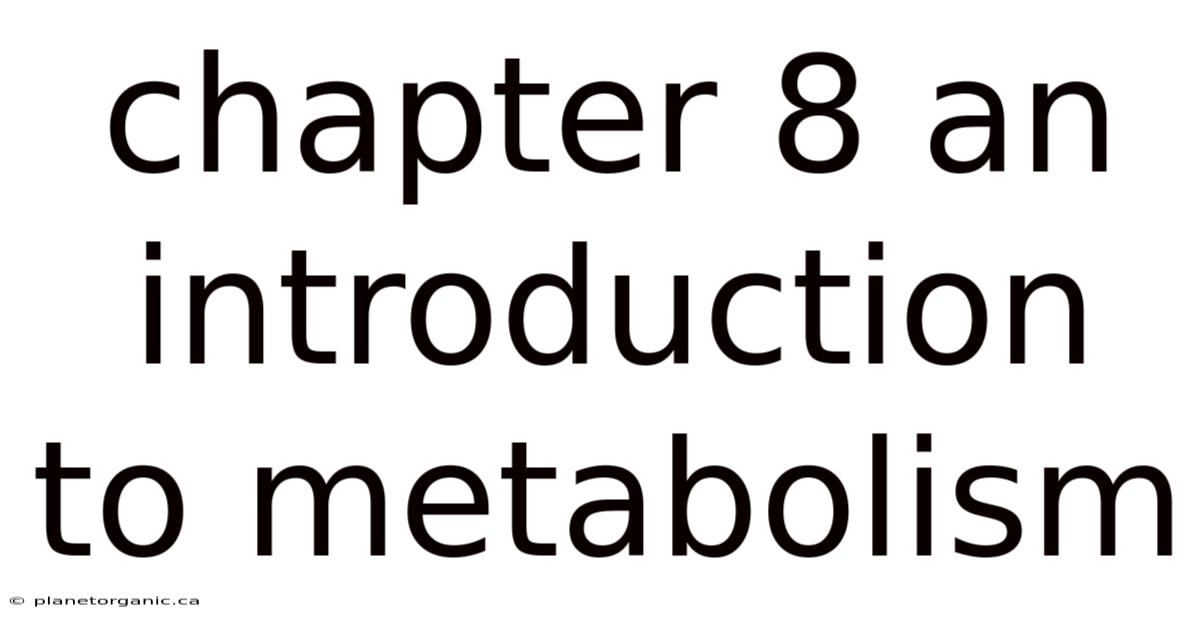 Chapter 8 An Introduction To Metabolism