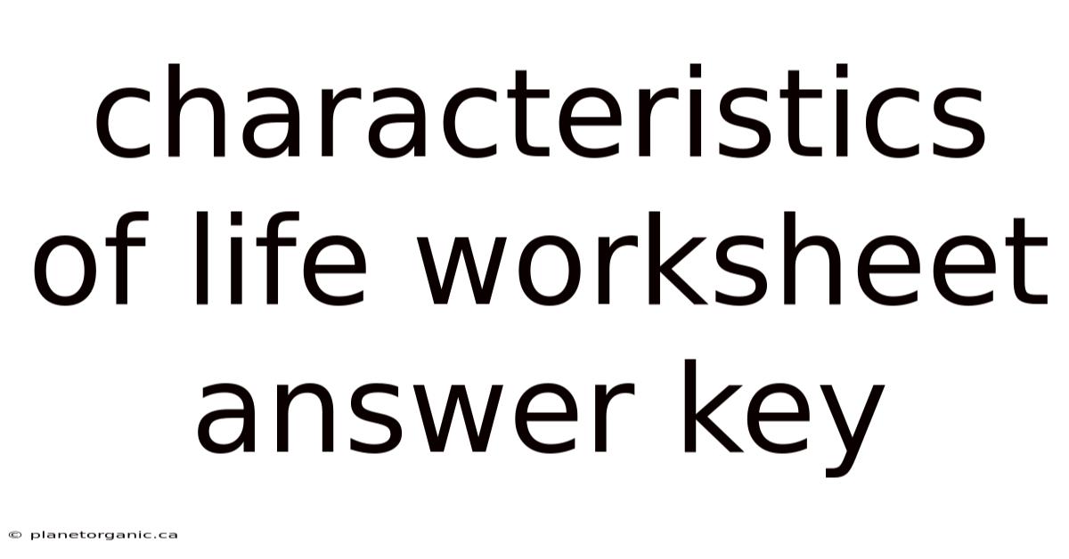 Characteristics Of Life Worksheet Answer Key