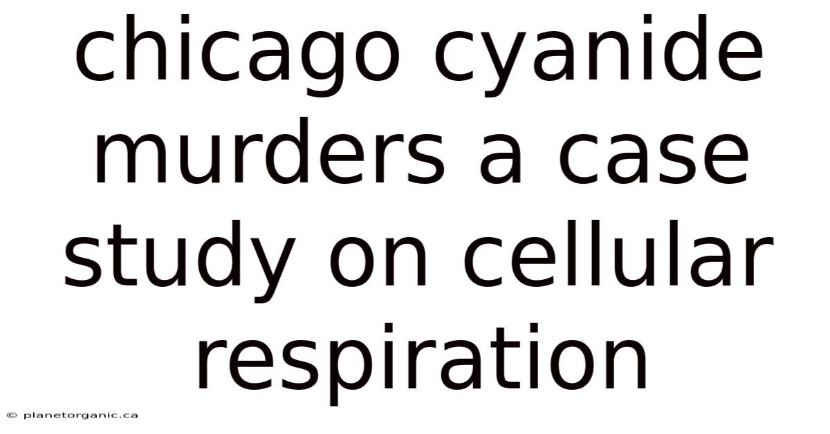 Chicago Cyanide Murders A Case Study On Cellular Respiration