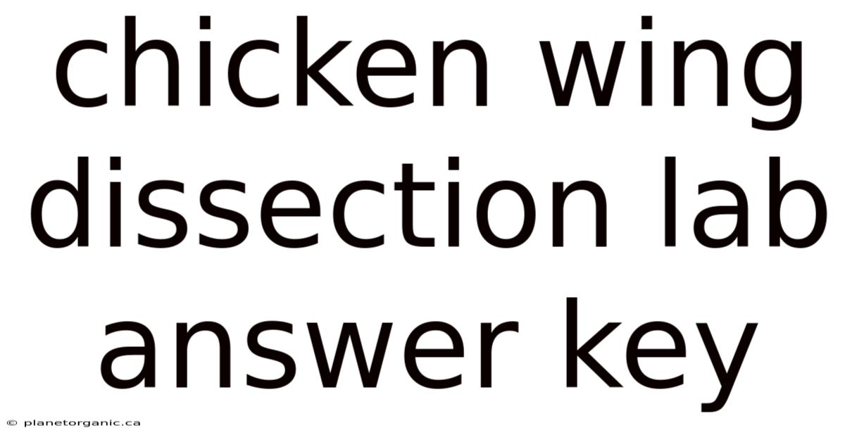 Chicken Wing Dissection Lab Answer Key