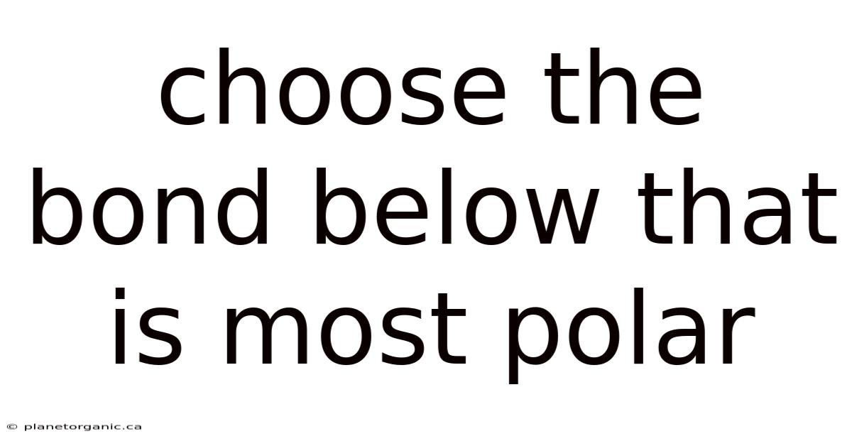 Choose The Bond Below That Is Most Polar