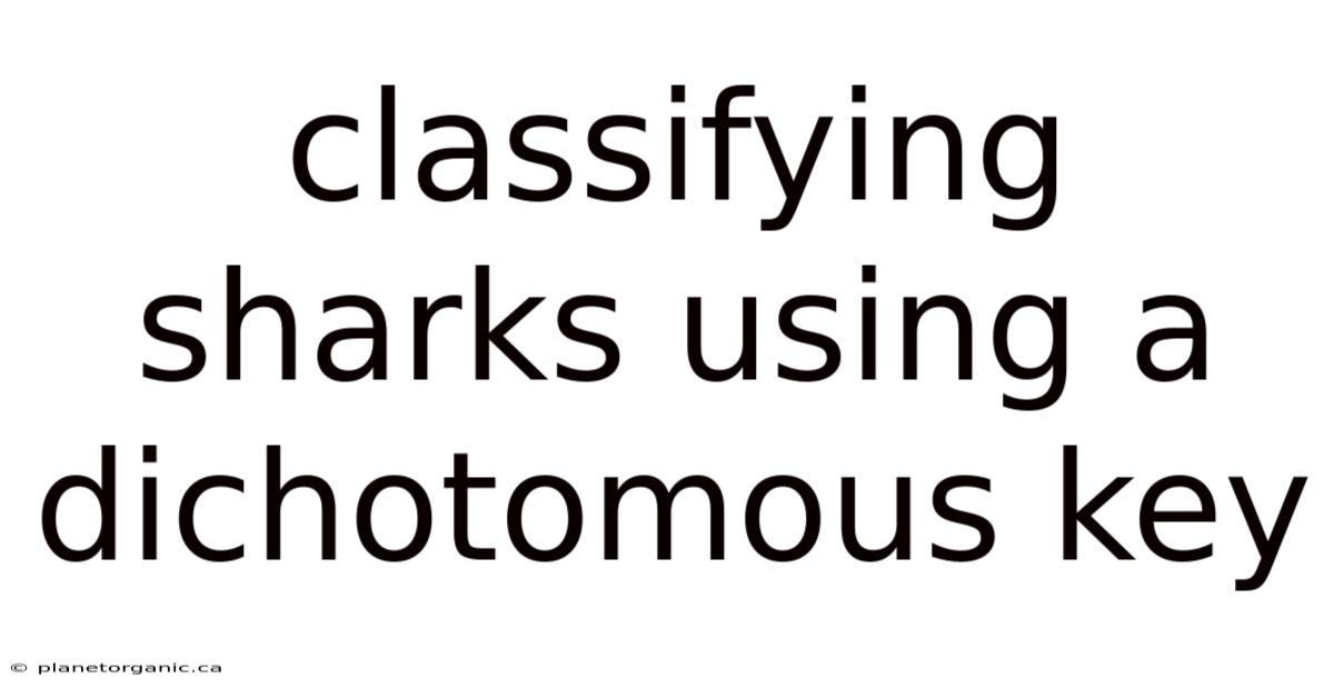 Classifying Sharks Using A Dichotomous Key