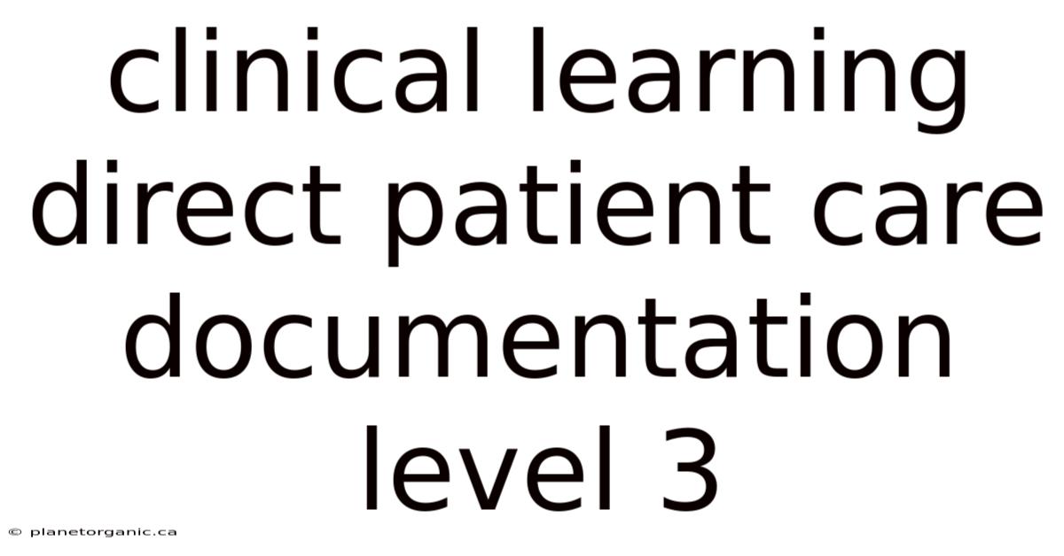 Clinical Learning Direct Patient Care Documentation Level 3
