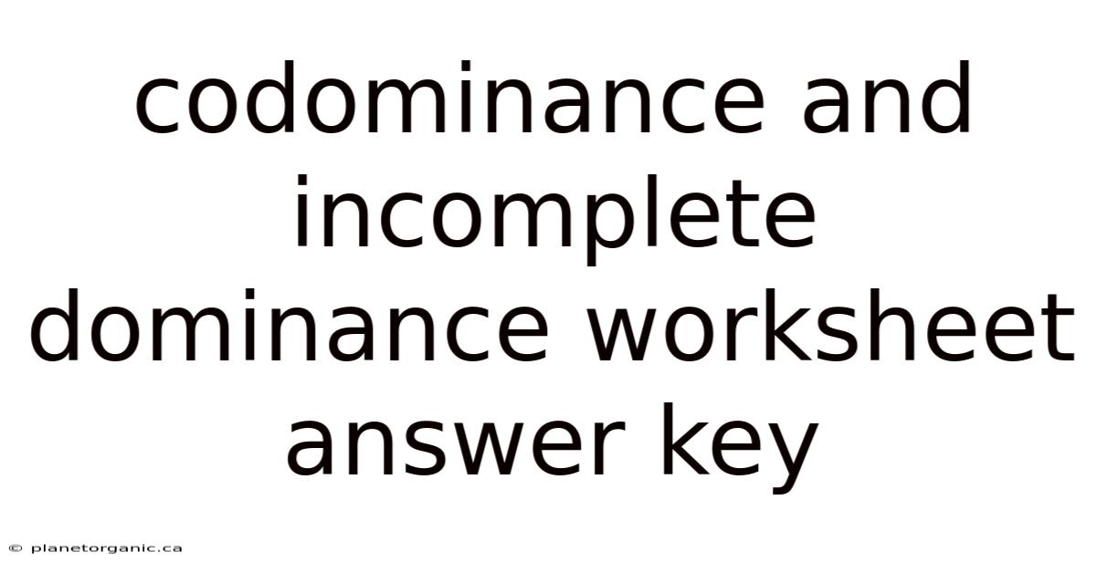 Codominance And Incomplete Dominance Worksheet Answer Key