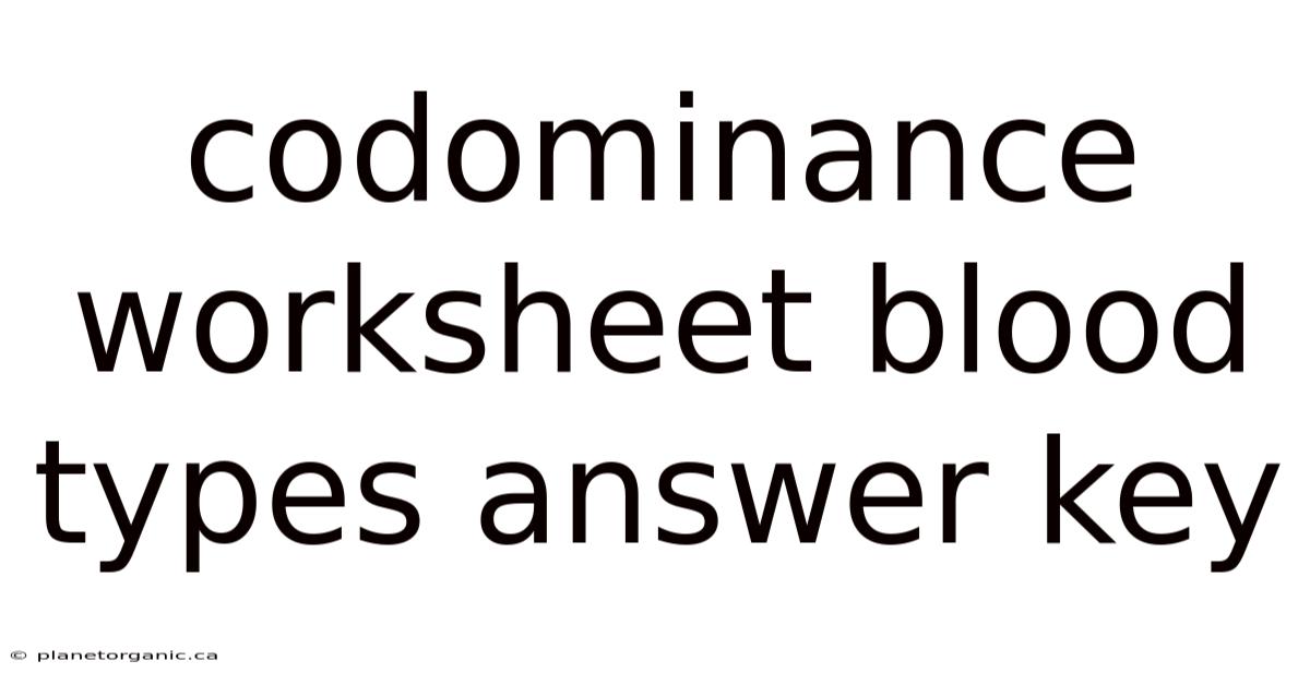 Codominance Worksheet Blood Types Answer Key