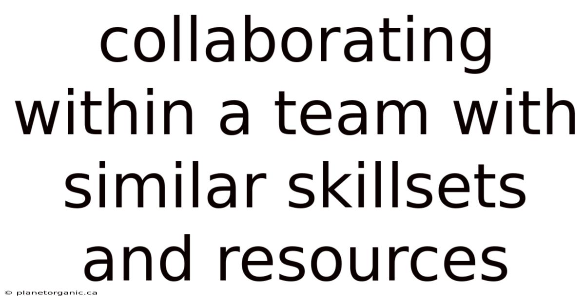 Collaborating Within A Team With Similar Skillsets And Resources