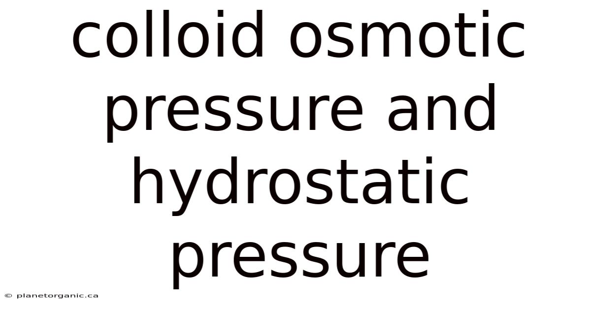 Colloid Osmotic Pressure And Hydrostatic Pressure