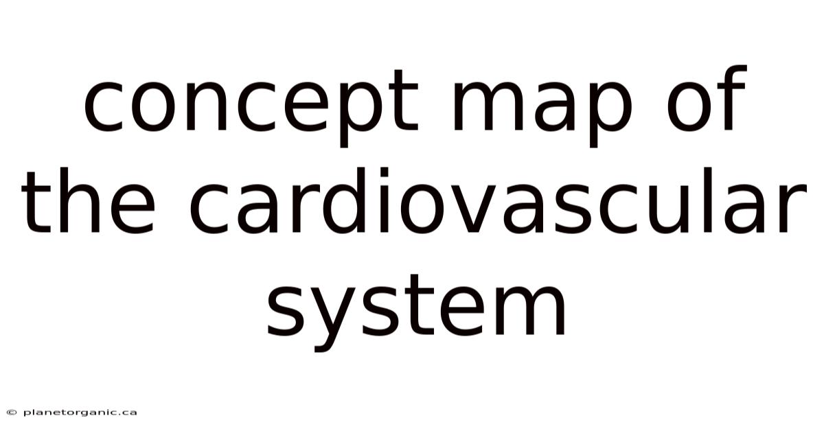 Concept Map Of The Cardiovascular System