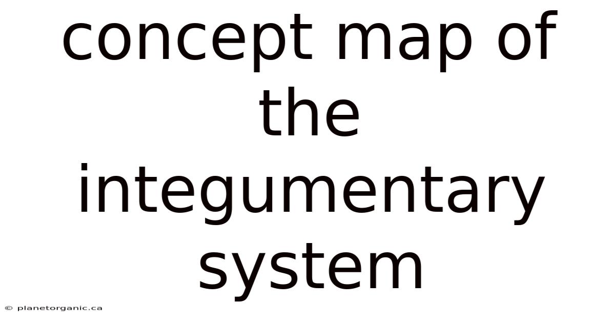 Concept Map Of The Integumentary System