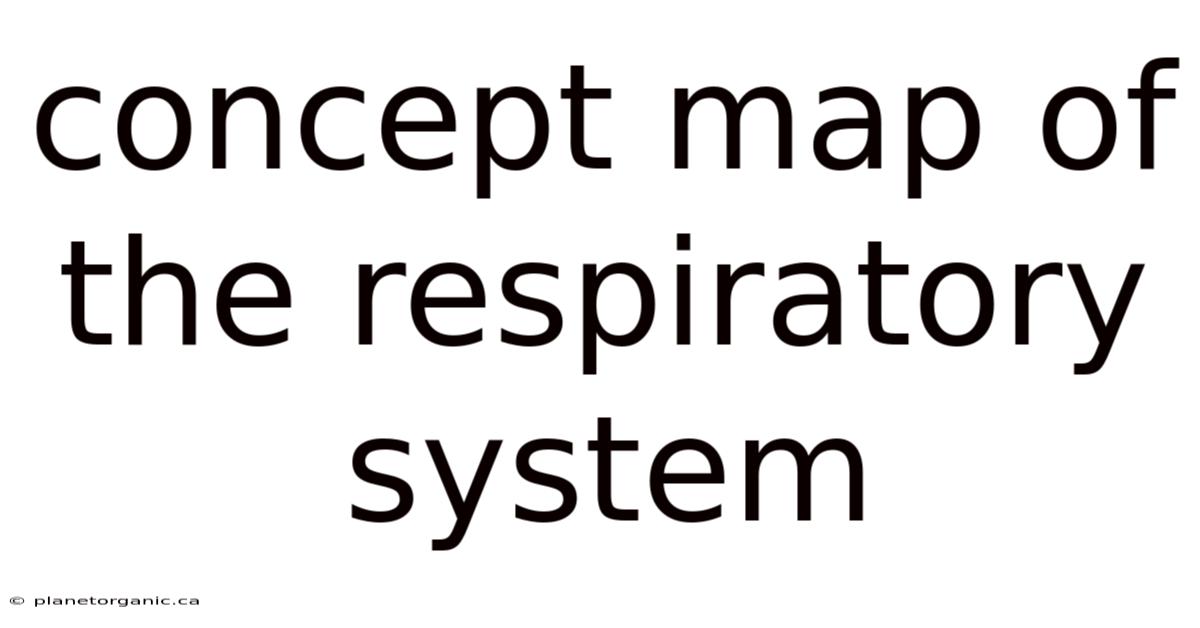 Concept Map Of The Respiratory System