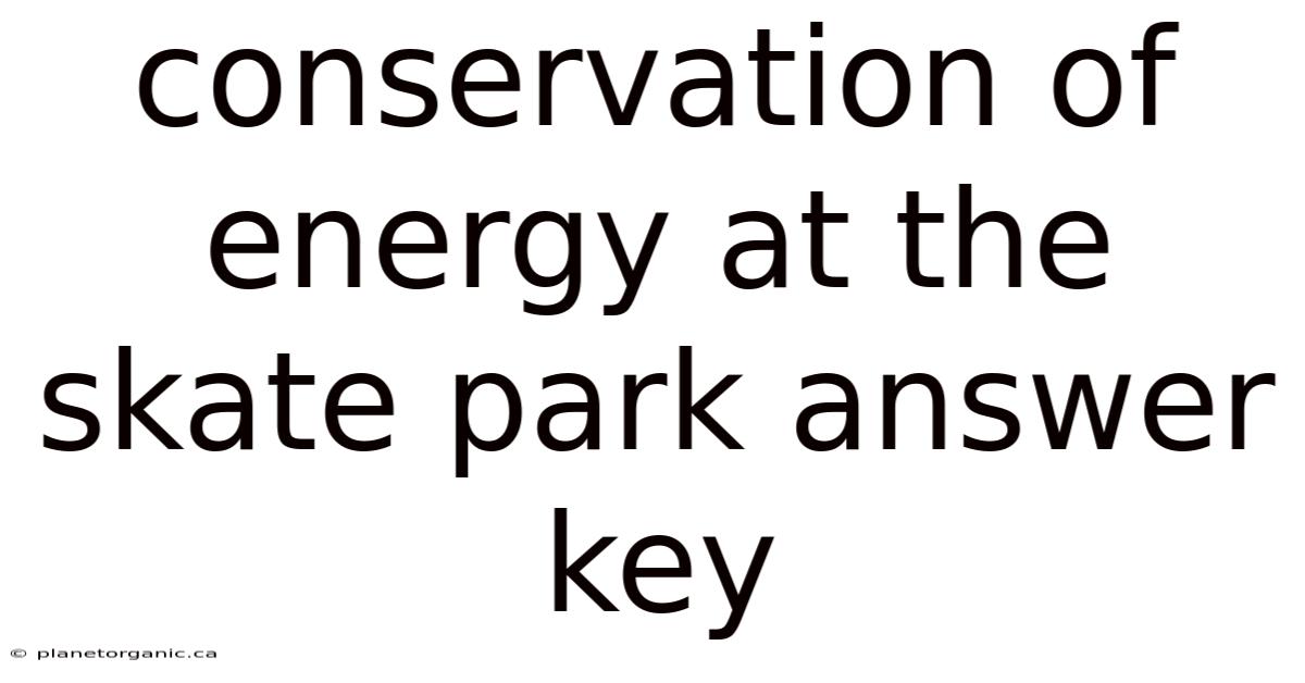 Conservation Of Energy At The Skate Park Answer Key