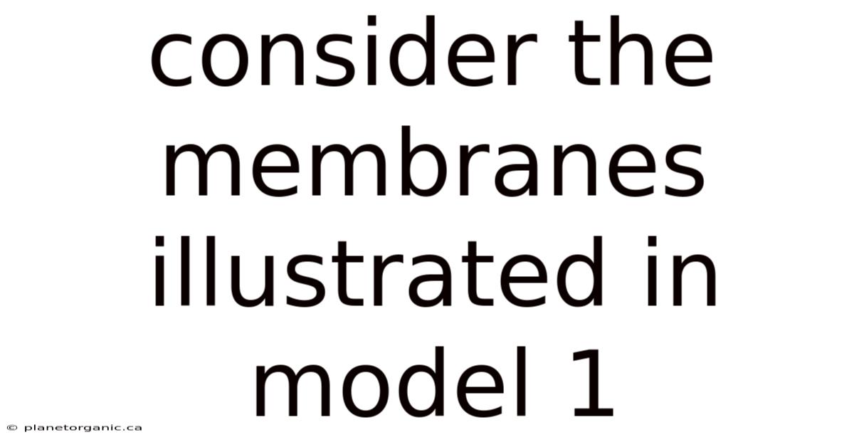 Consider The Membranes Illustrated In Model 1