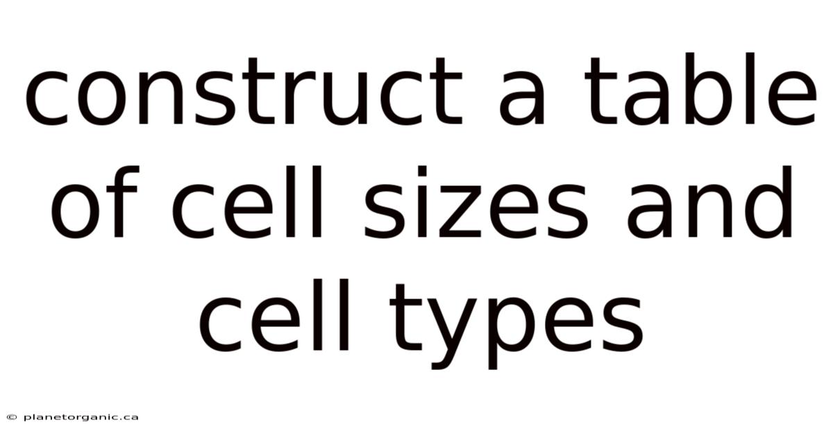 Construct A Table Of Cell Sizes And Cell Types