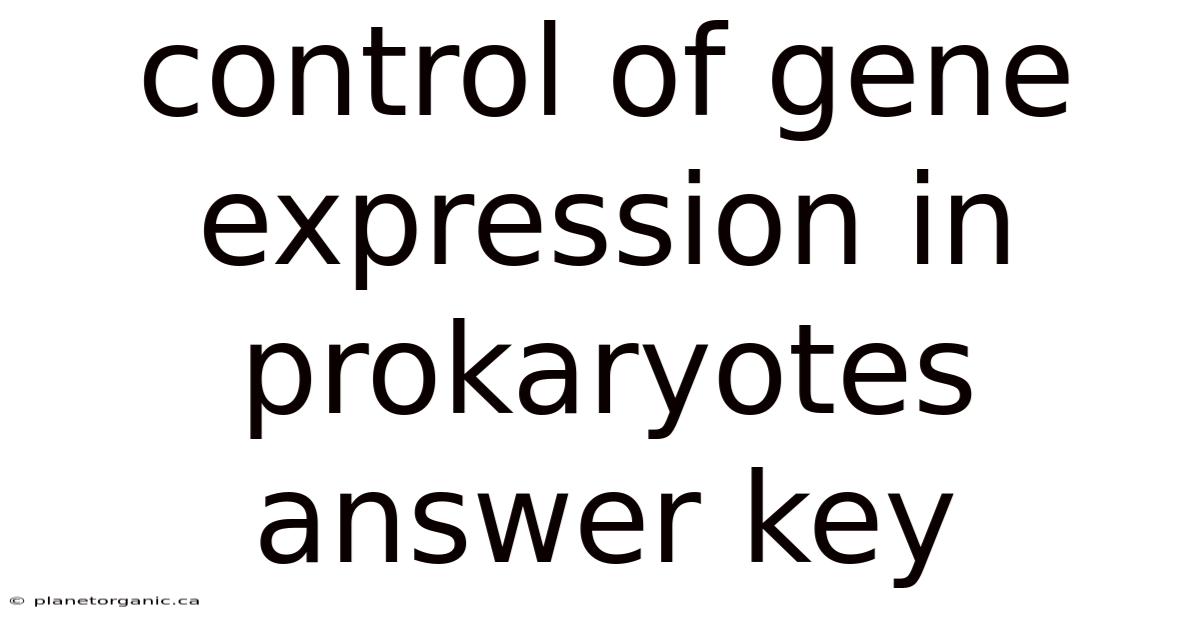 Control Of Gene Expression In Prokaryotes Answer Key
