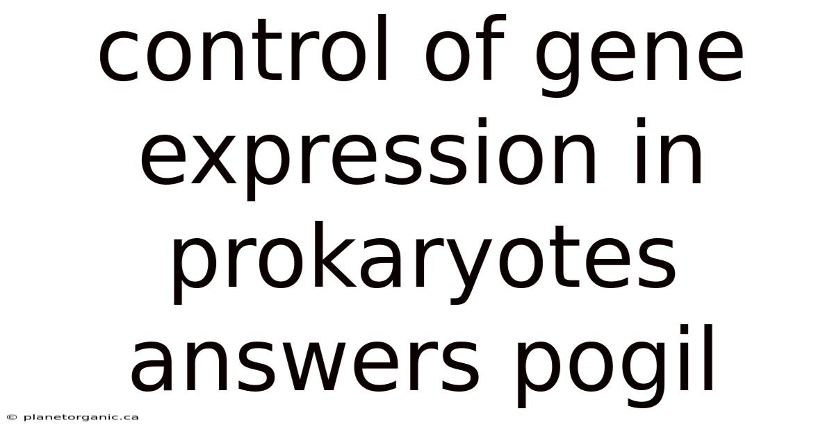 Control Of Gene Expression In Prokaryotes Answers Pogil