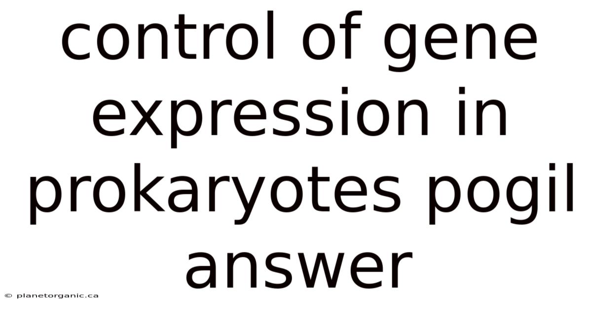 Control Of Gene Expression In Prokaryotes Pogil Answer