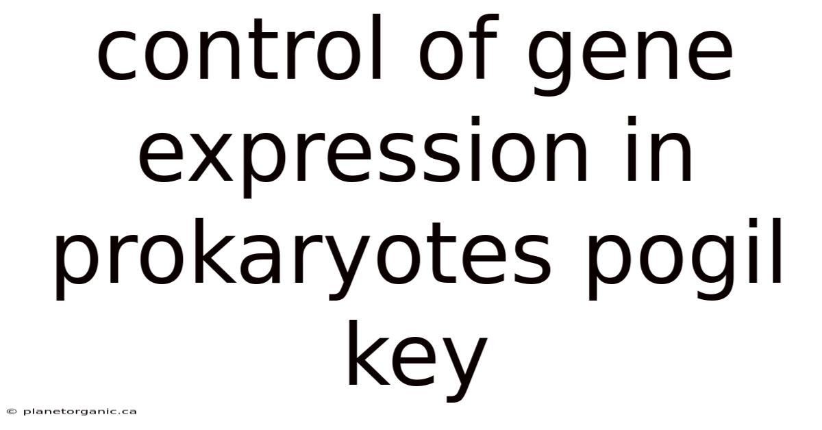 Control Of Gene Expression In Prokaryotes Pogil Key