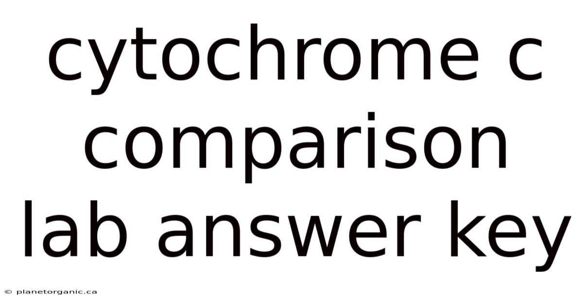 Cytochrome C Comparison Lab Answer Key