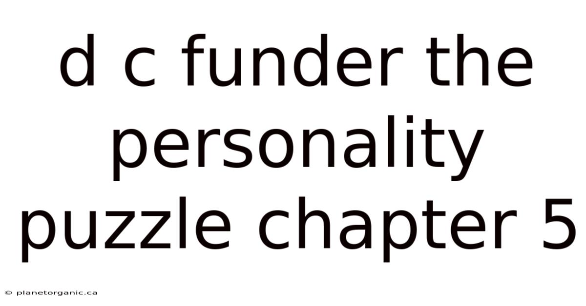 D C Funder The Personality Puzzle Chapter 5