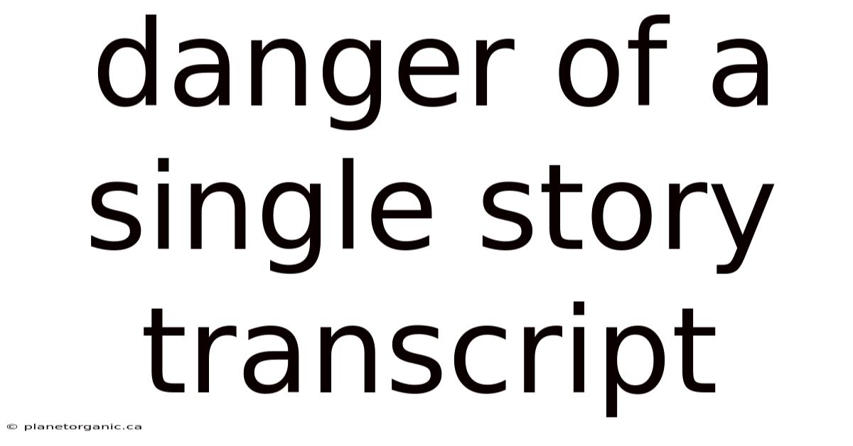 Danger Of A Single Story Transcript