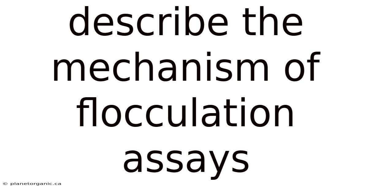 Describe The Mechanism Of Flocculation Assays