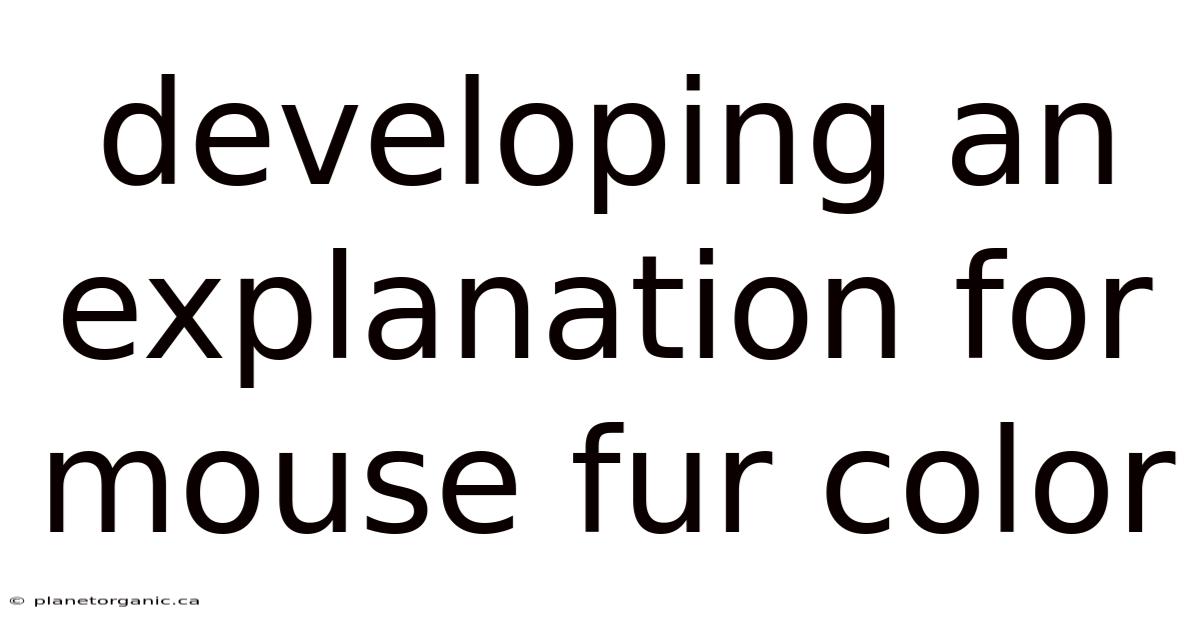 Developing An Explanation For Mouse Fur Color